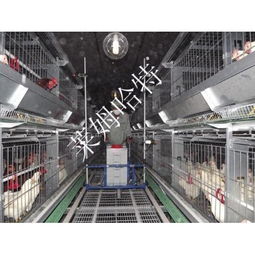 家畜飼養(yǎng)機(jī)械產(chǎn)品精選 提升養(yǎng)殖效率與現(xiàn)代化水平